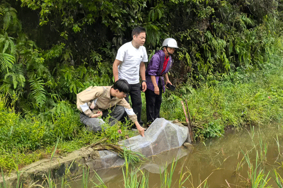 現(xiàn)場(chǎng)指導(dǎo)稻田綜合種養(yǎng)技術(shù)。學(xué)校供圖