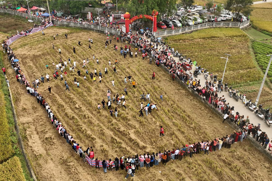 圖:興業(yè)縣葵陽鎮(zhèn)泉江村豐收文化節(jié)“稻田抓雞”現(xiàn)場航拍圖