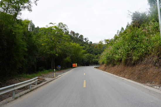 S201長洲富萬村至摩天嶺路段。莫錦橋攝