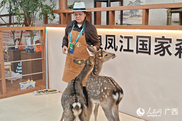 展廳內(nèi)的兩只梅花鹿惹人憐愛(ài)。人民網(wǎng)記者 王勇攝
