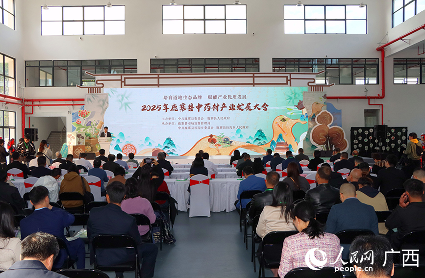 大會現場。人民網 付華周攝