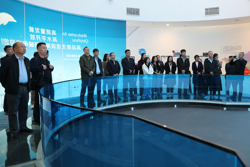 實(shí)地觀摩。張杏煬攝