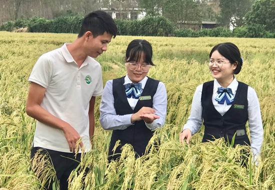 郵儲(chǔ)銀行工作人員深入田間地頭服務(wù)農(nóng)業(yè)經(jīng)營(yíng)主體。梁東密攝