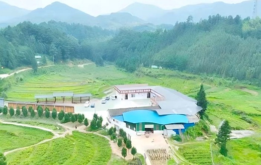 資源縣林下藥食同源中藥材產業(yè)示范區(qū)