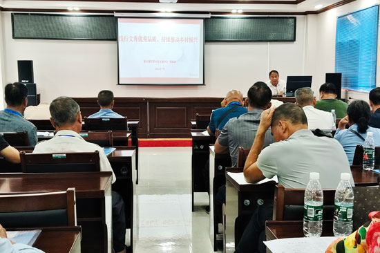 百坭村黨支部書記周昌戰(zhàn)給參訓黨員授課。覃小鳳攝