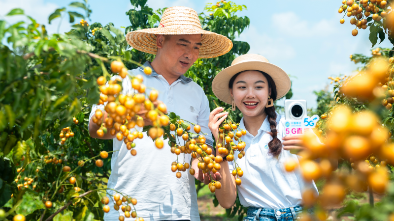 5G助農(nóng)直播打通產(chǎn)銷鏈路。區(qū)弘哲攝