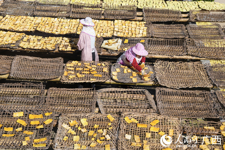 筍農(nóng)在自家庭院曬筍。