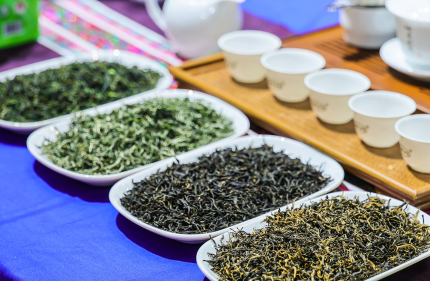 各類茶葉。主辦方供圖