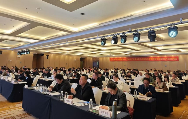 會議現(xiàn)場。主辦方供圖