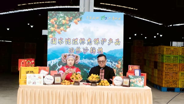 直播帶貨現(xiàn)場。陸宗林?jǐn)z