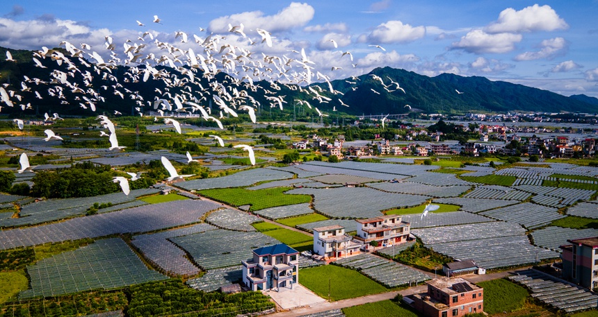 資源縣鄉(xiāng)村美景