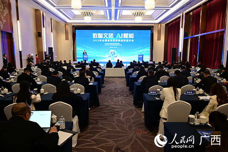 會議現(xiàn)場。人民網(wǎng)記者 雷琦竣攝