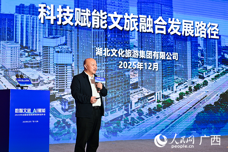 湖北文化旅游集團副總經(jīng)理周永彪作分享交流。人民網(wǎng)記者 雷琦竣攝