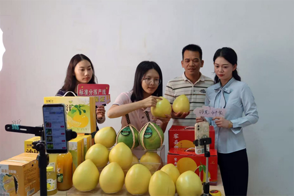 容縣貢果沙田柚種植有限公司黨支部書記彭遠開展直播帶貨。黃健峰攝