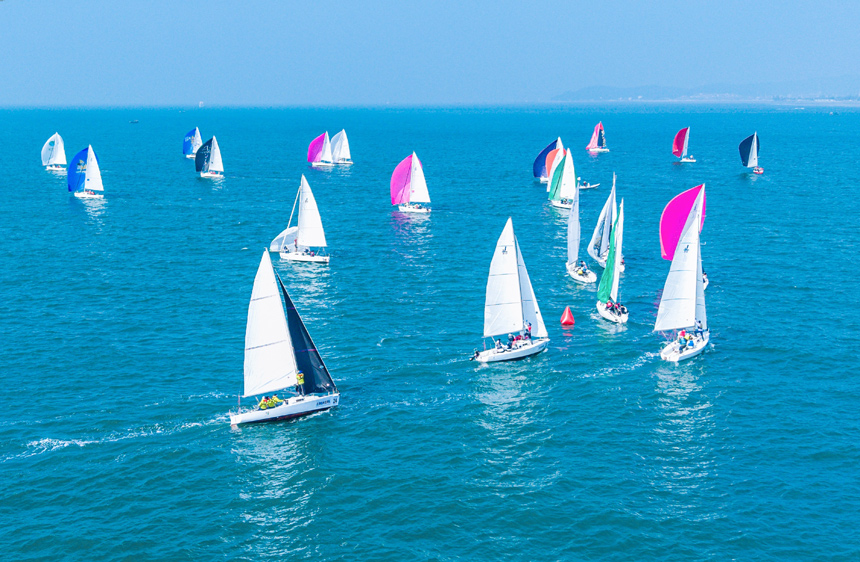 參賽帆船在海面馭風(fēng)逐浪。 