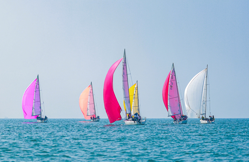 帆船馭風(fēng)逐浪。