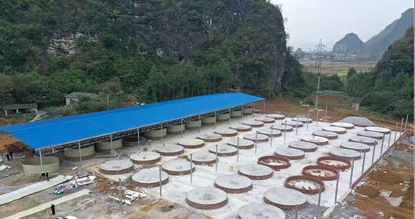 廣西華芯數(shù)智AI設(shè)施漁業(yè)示范基地。蘭德波攝