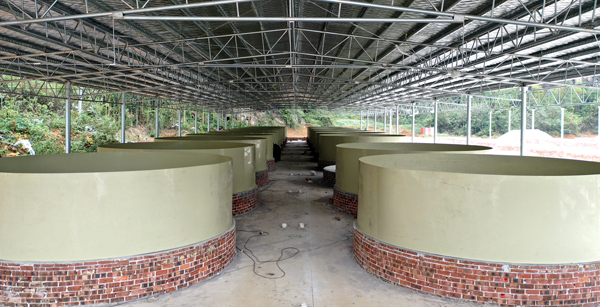 矮山基地首座標(biāo)準(zhǔn)模塊養(yǎng)殖車間。蘭德波攝