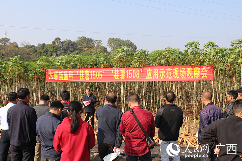 觀摩會(huì)現(xiàn)場(chǎng)。人民網(wǎng) 劉璐瑤攝