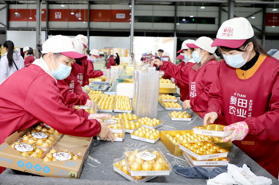 成品精包裝（鄧蕾雅 攝）