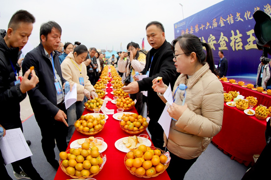 專家評審（鄧蕾雅 攝）