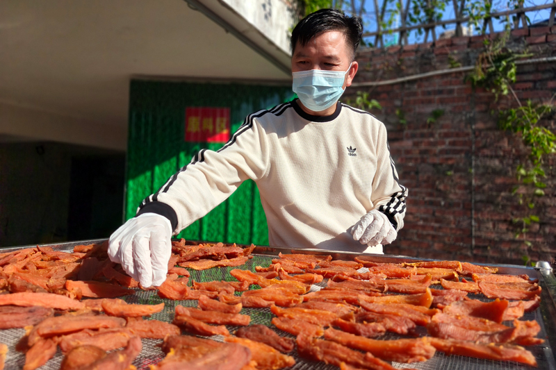 建立全鏈條生產(chǎn)線(xiàn)，烘干紅薯干。張桐千攝