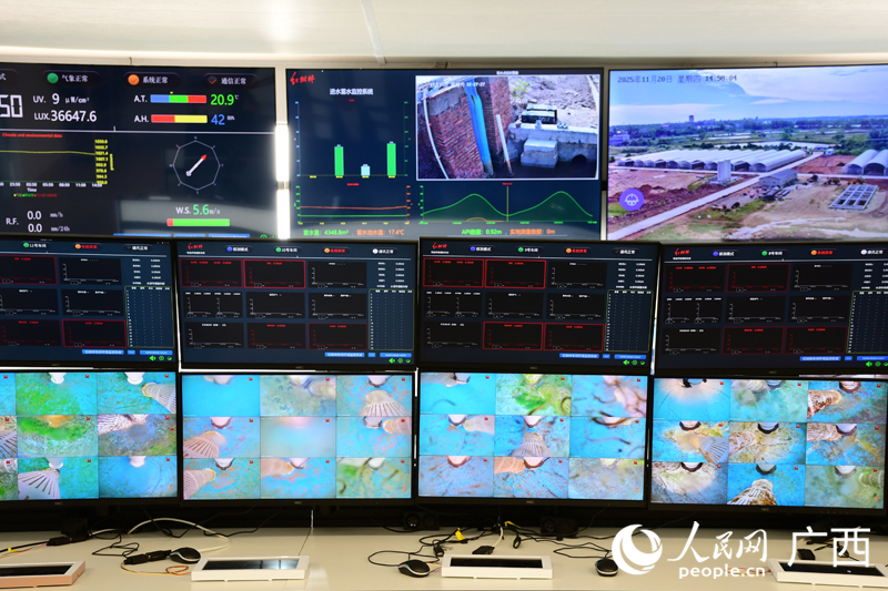 東興市紅樹林農(nóng)業(yè)有限公司總控室。人民網(wǎng) 龐惠文攝