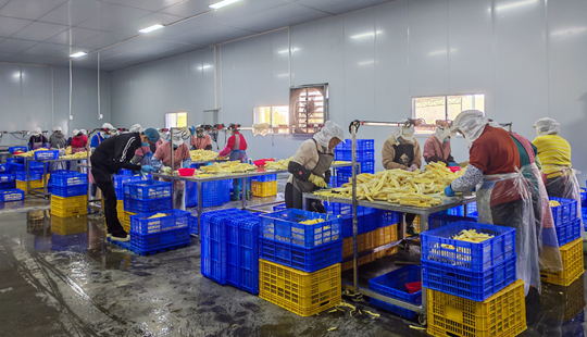 八步區(qū)：車間建村口 農(nóng)產(chǎn)變“金”富鄉(xiāng)鄰