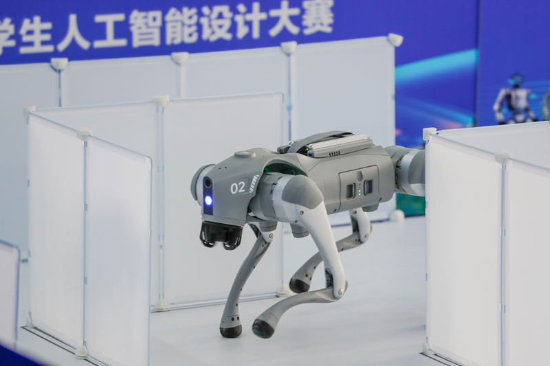 比賽現(xiàn)場。主辦方供圖