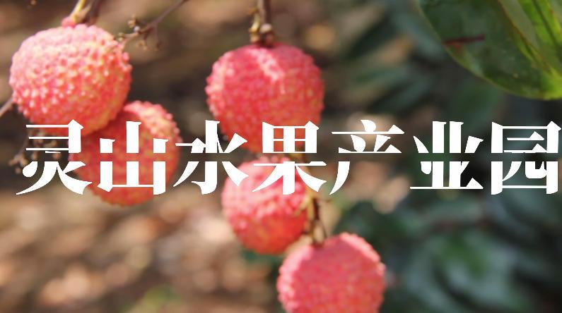 靈山水果產(chǎn)業(yè)園