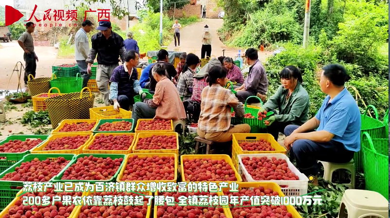 廣西南寧：仙進(jìn)奉荔枝出海  助果農(nóng)增收致富