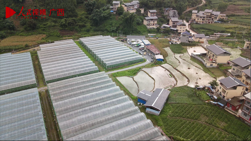 田林：農(nóng)文旅融合繪新卷 愛善莊園成 “樣板”