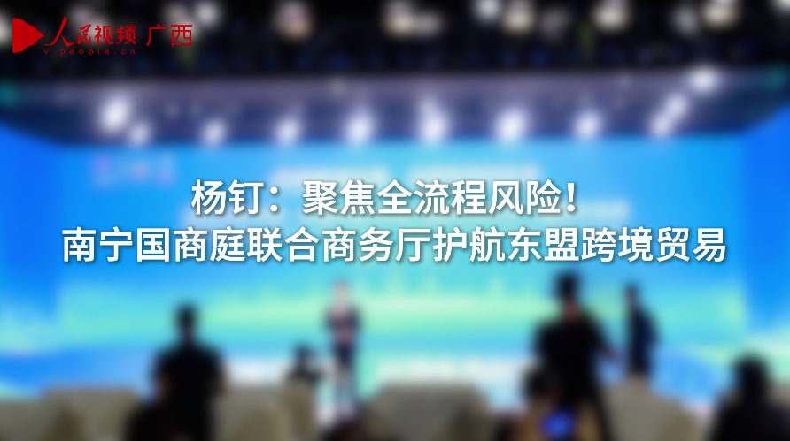 2南寧國際商事法庭副庭長楊釘-楊釘：聚焦全流程風(fēng)險！南寧國商庭聯(lián)合商務(wù)廳護(hù)航東盟跨境貿(mào)易