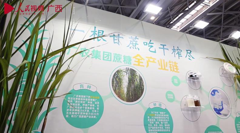 廣農(nóng)集團(tuán)攜全產(chǎn)業(yè)鏈新成果與明星農(nóng)業(yè)IP亮相農(nóng)業(yè)三大博覽會(huì)_x264