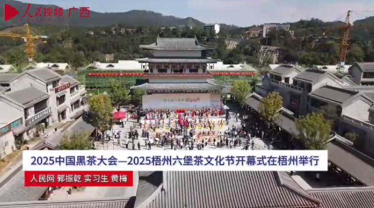 2025 中國黑茶大會一2025 梧州六堡茶文化節(jié)開幕式在梧州舉行