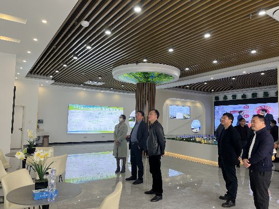 參觀木材交易中心