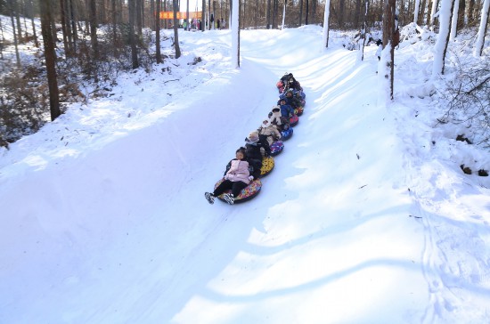 撫順2000米長的“雪地貪吃蛇”林間雪圈道上，尖叫聲不斷。